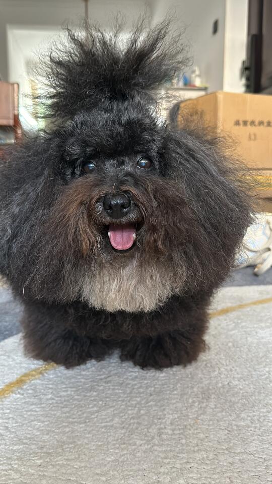 人，不要内耗啊