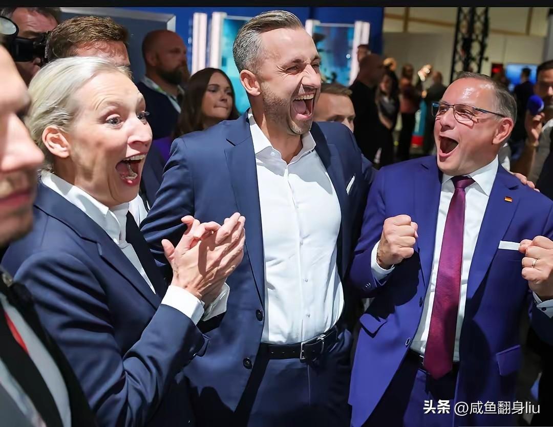 用一句大白话来形容魏德尔领导的选择党就是“自己挣钱自己花，不给别人当傻瓜”

与