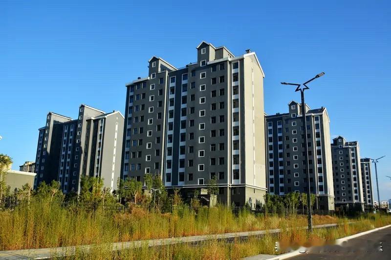 “市场+保障”双轨制设计的本意，并非打压房价，而是稳定市场、满足不同群体的居住需