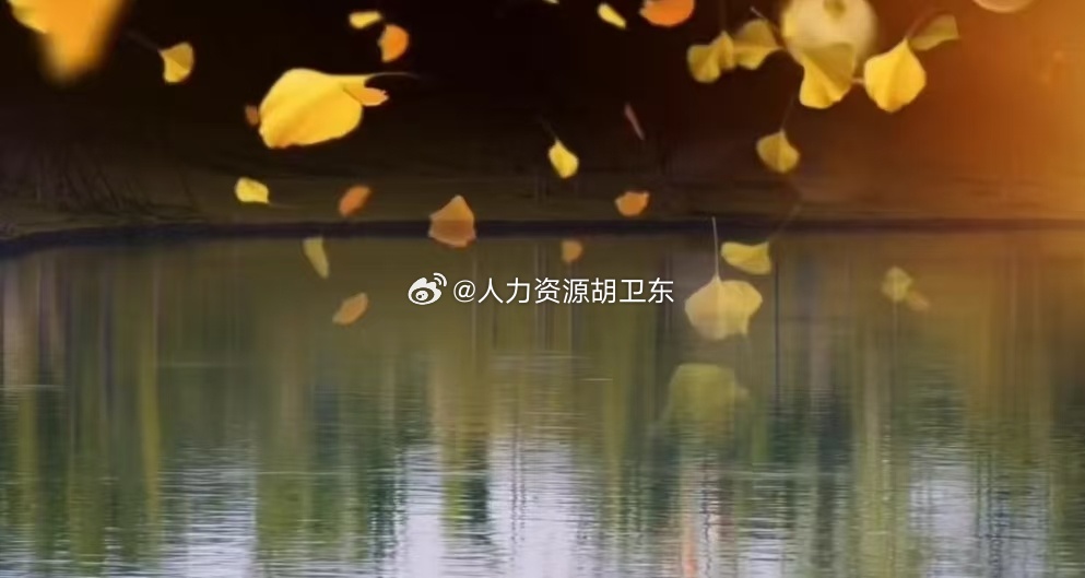 这世间，谁的肩膀上没扛过几道深浅不一的伤疤，又有谁能在来时的漫漫长路上，做到片叶