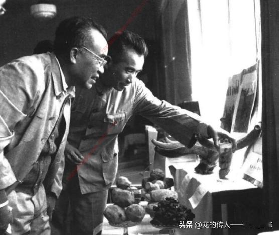 1958年7月，朱德在西宁市参观青海省出产的土特产和药材。