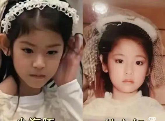 陈妍希一句话，差点“毁”了和林心如20年的交情。
当时节目上，她半开玩笑指着小海