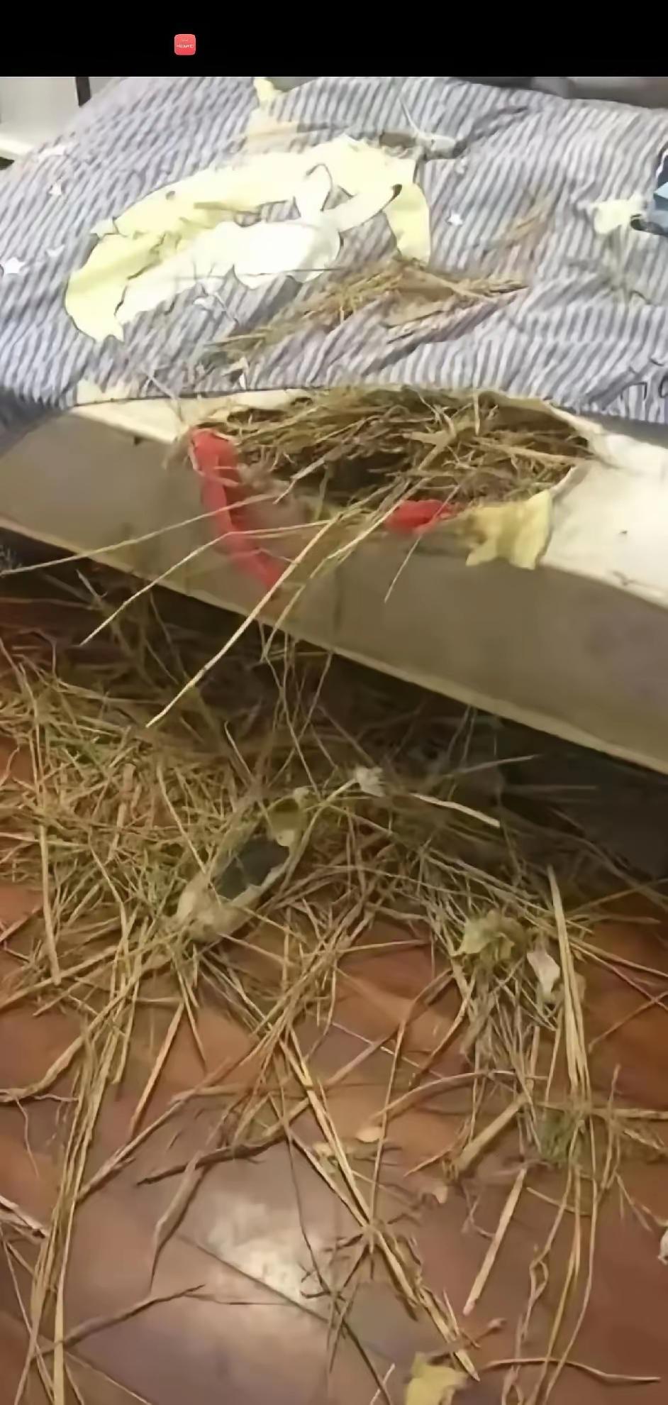 材质是纯天然的，没有高科技，耐不耐用不知道，但肯定是很暖和呀。事实证明了一件事，