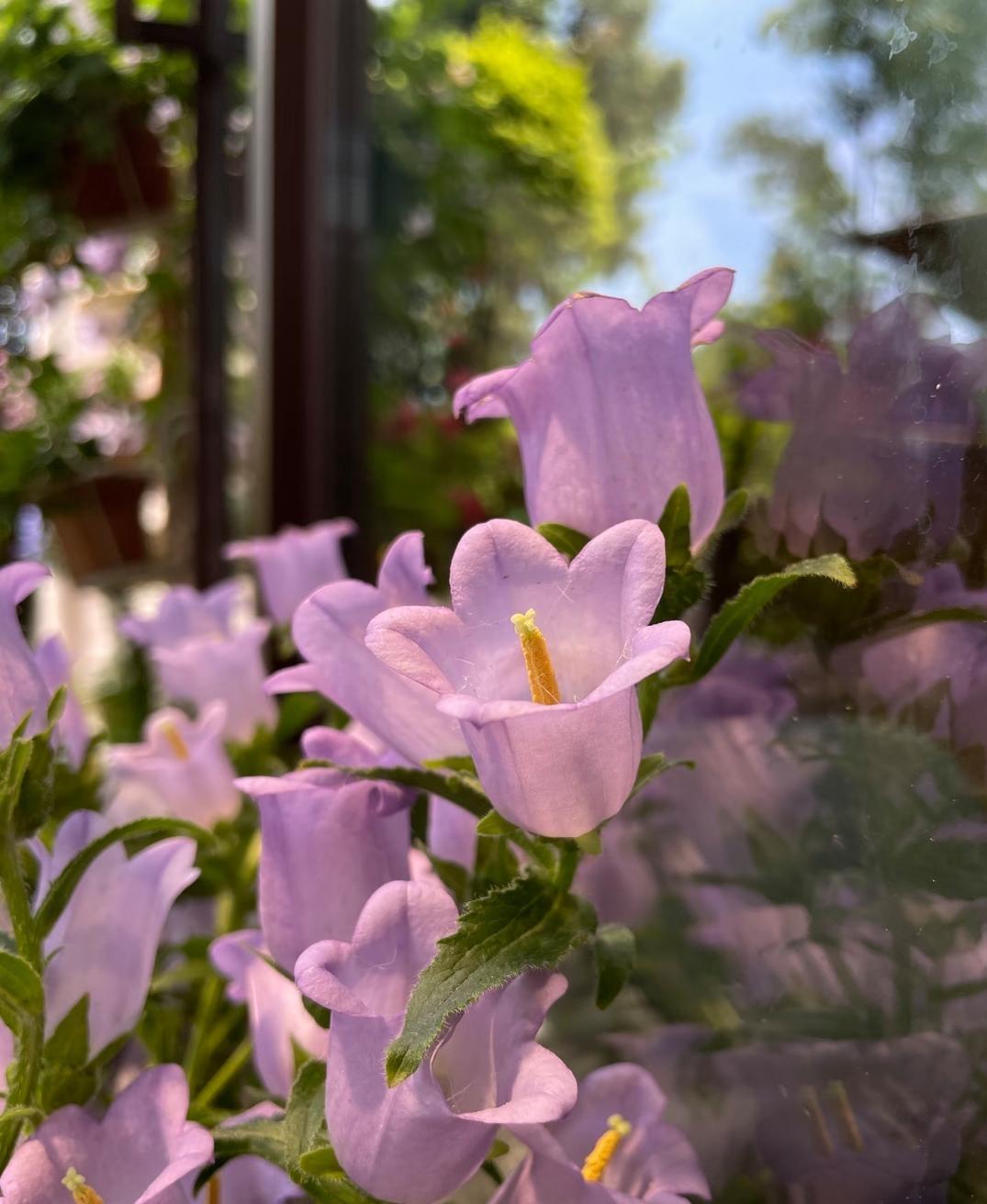 这名男子胆大包天，娶了个离异带男孩的女人做老婆，这个不是关键，关键是男子在家做了