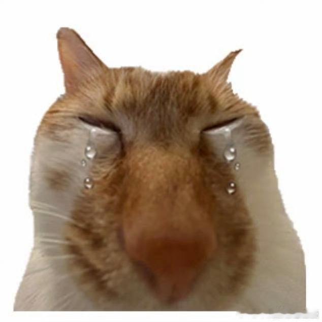 田曦薇又发了小猫表情包田曦薇到底有多少小猫表情包 可爱可爱 