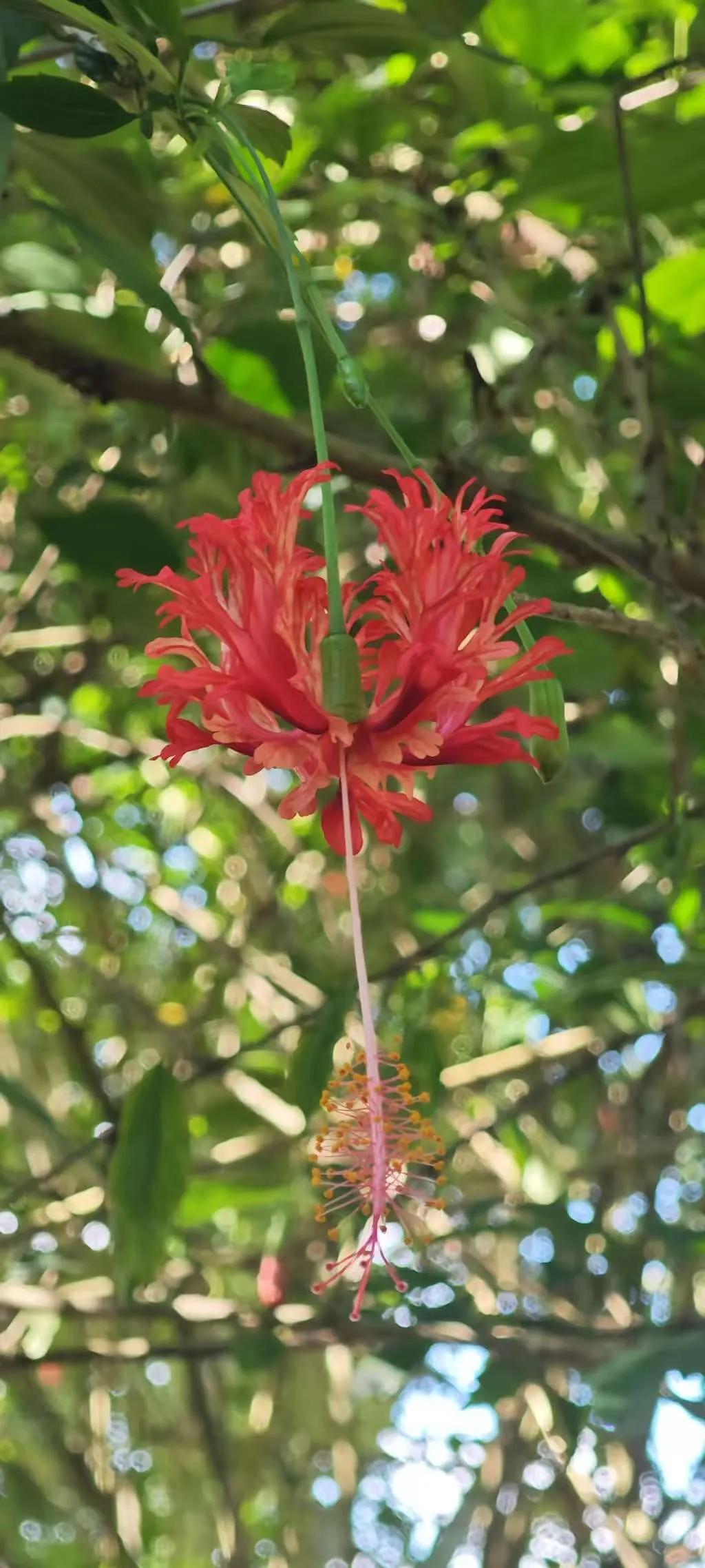 通往天堂的路，每个人都在排队，偶尔有插队的，也无可厚非。没有事情是偶然的，一切皆