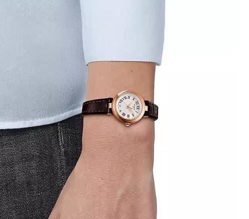 天梭的售后体验我给满分！之前表带有点小问题，送去专柜态度超好，解决得又快。高品质