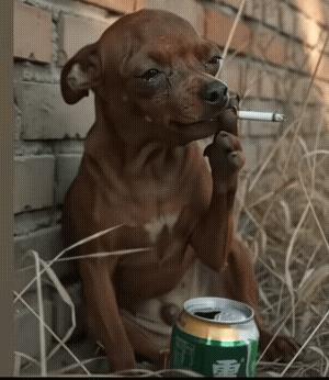 这年头，谁不是一边崩溃一边硬扛？