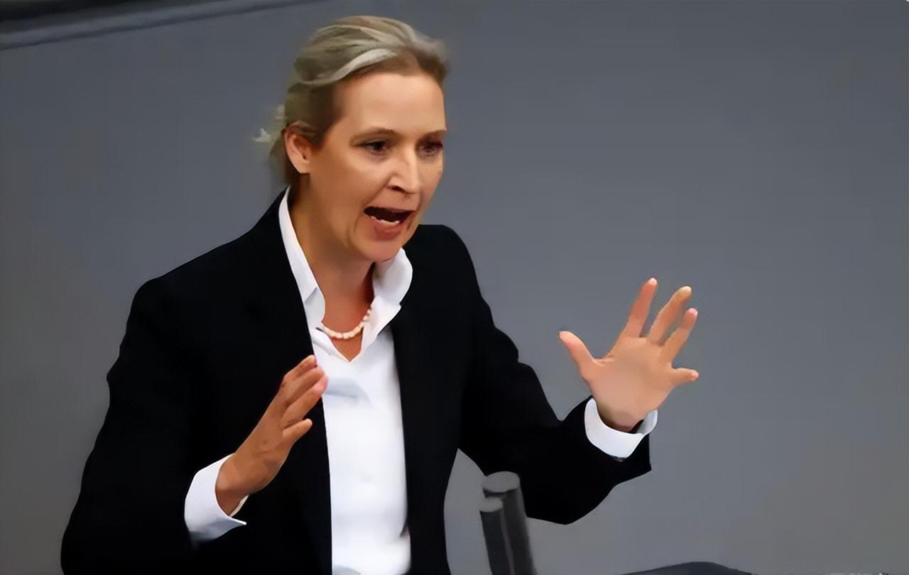 德国政坛彻底乱了！总理支持率创纪录新低，反对党逆袭登顶

德国政坛正在经历前所未