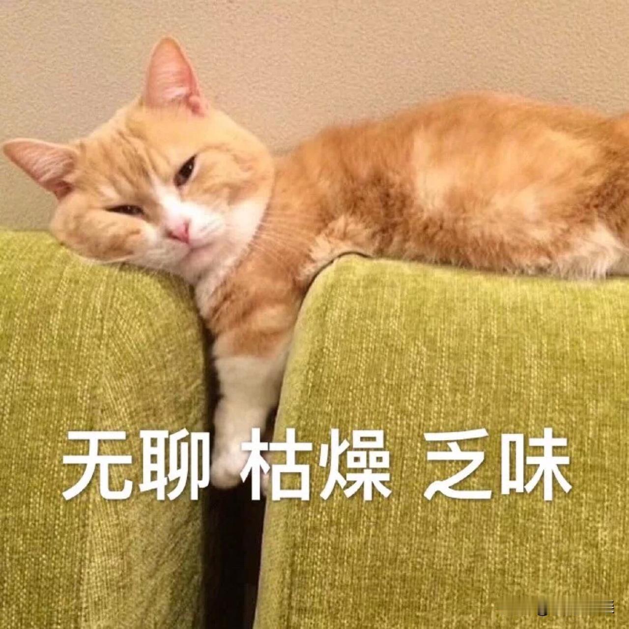 我可能有病，只要闲下来就坐立不安。
     人之所以叫人，真的不能闲下来。
 