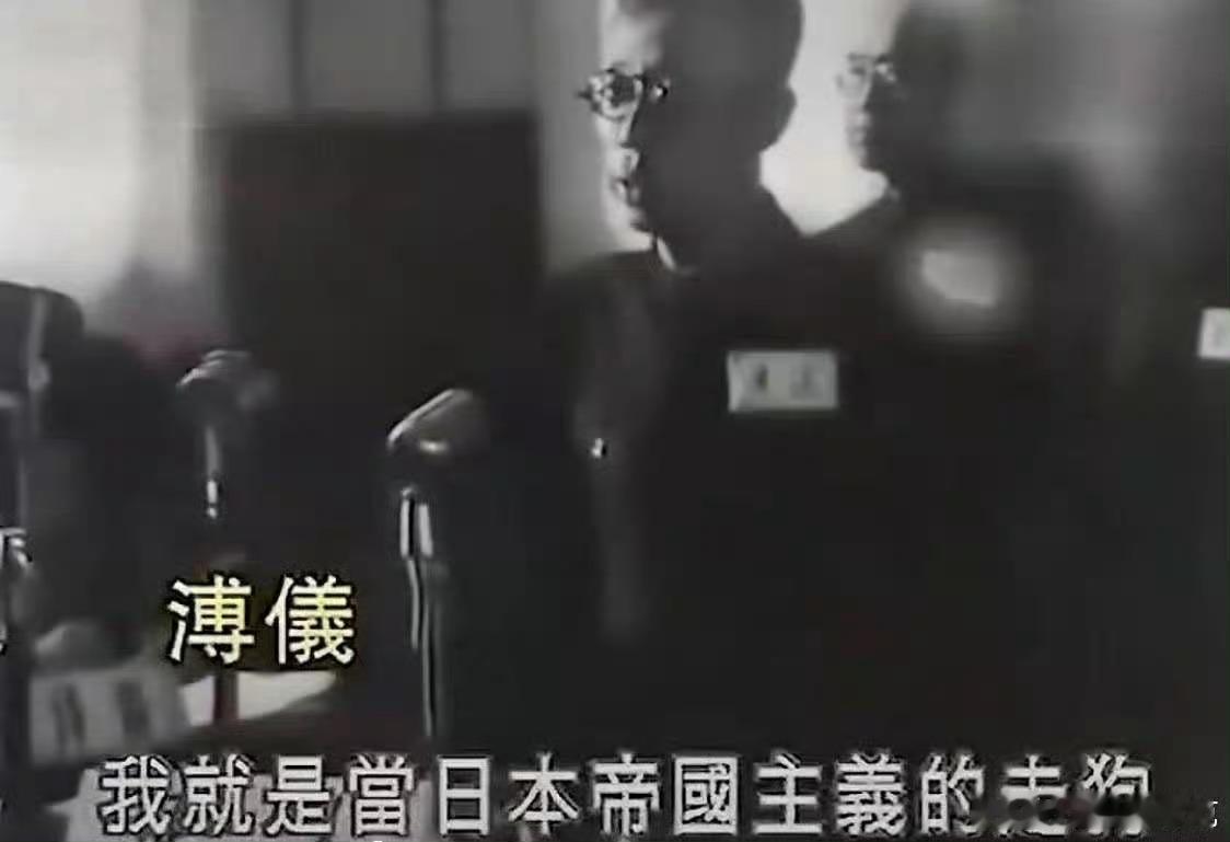 溥仪：谁是日本人的狗？正本清源