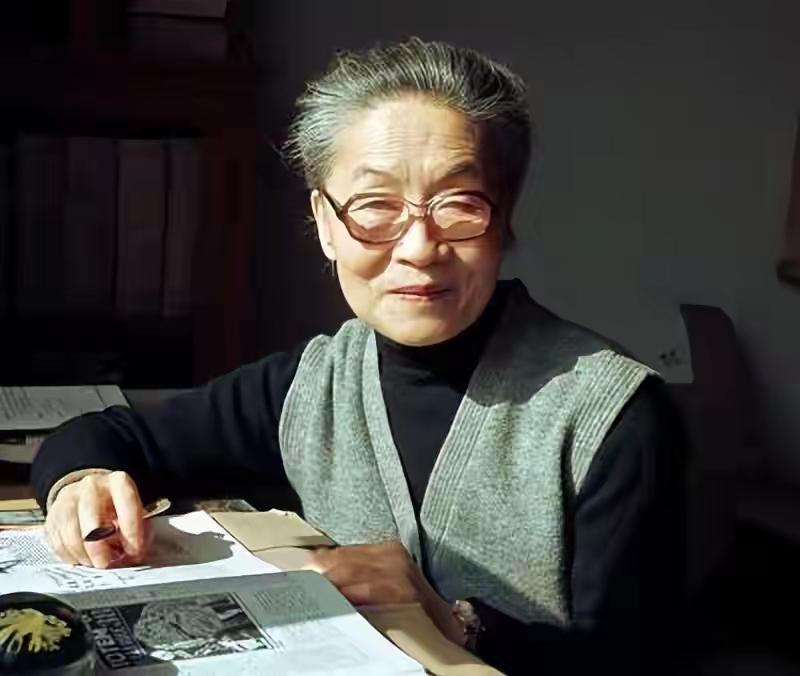 杨绛先生（1911-2016）的一生，是一部跨越世纪、融合了学识、爱情、坚韧与深