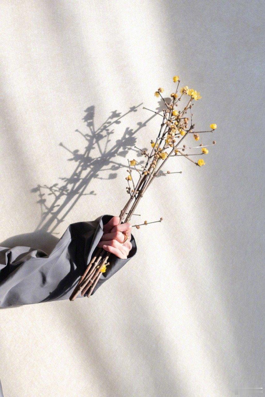 杨幂腊八手势照杨幂不需要另外加糖 杨幂不需要另外加糖 