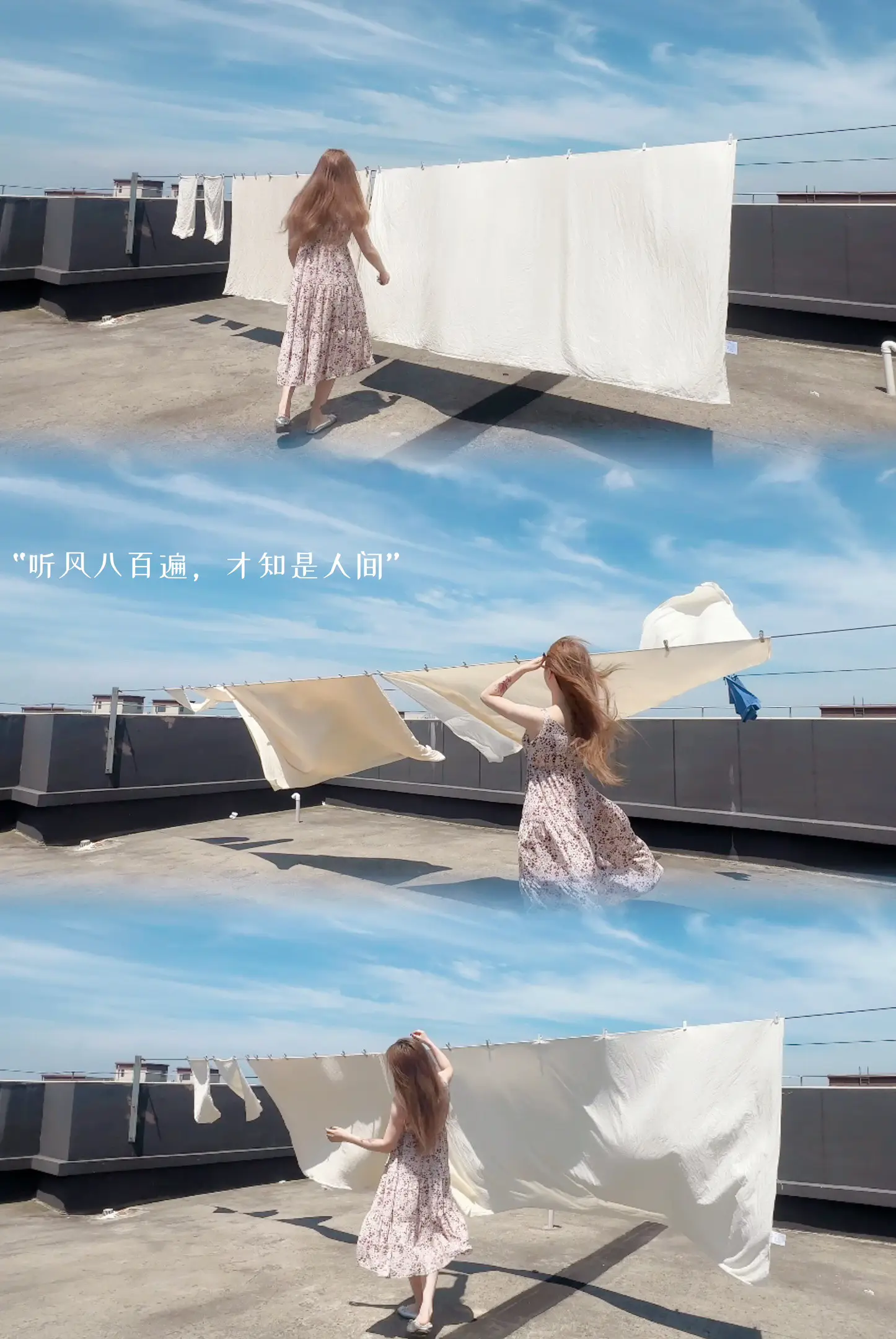 我诚，路自稳