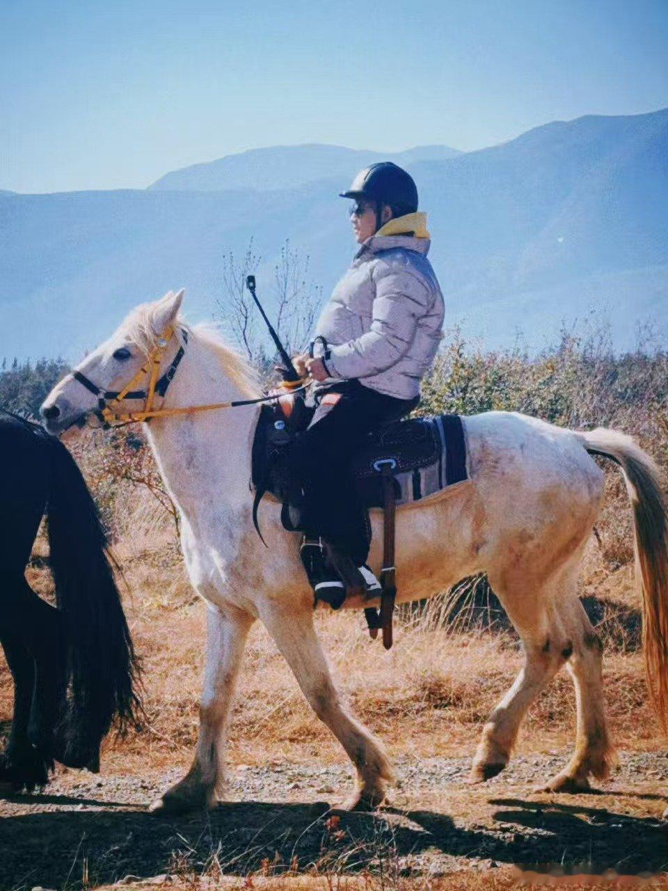 苏醒这张照片算工伤快乐老友记 笑到满地找头！苏醒的骑马侧拍直接封神，这状态说制片