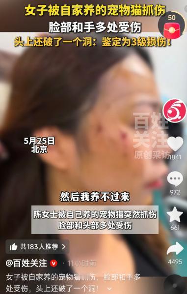 太吓人了！5月28日齐鲁晚报报道，北京，一只平时撒娇卖萌的虎斑猫，竟因主人带回家