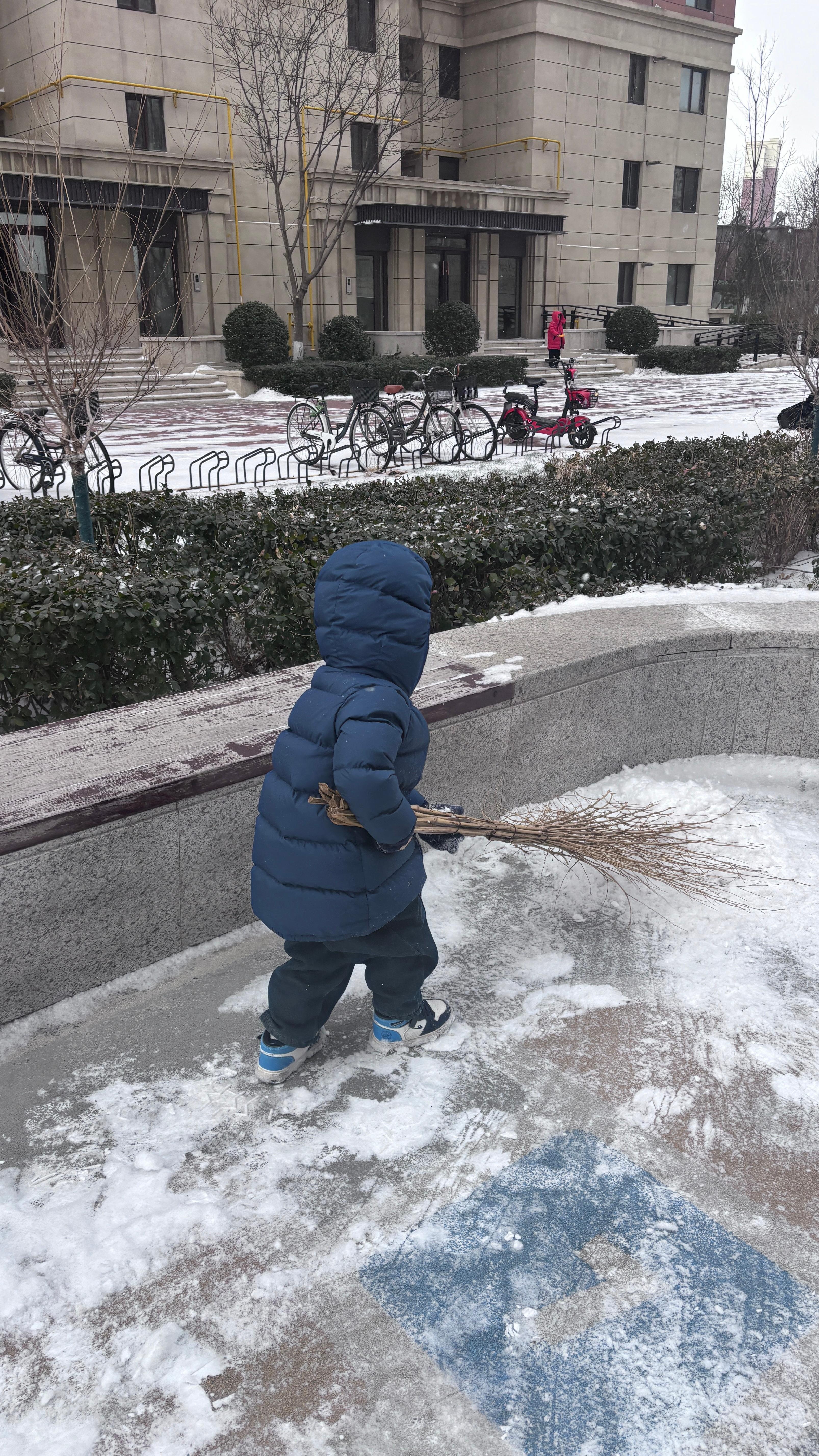 下雪了带豆包出去扫雪，感受一下第一场雪的氛围，扫的还蛮认真的嘛。好好成长的一年
