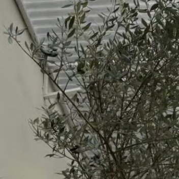 每一个平淡的日子都值得尊重，每一个还在身边的人都应该珍惜，愿你眼里有星辰，身边有