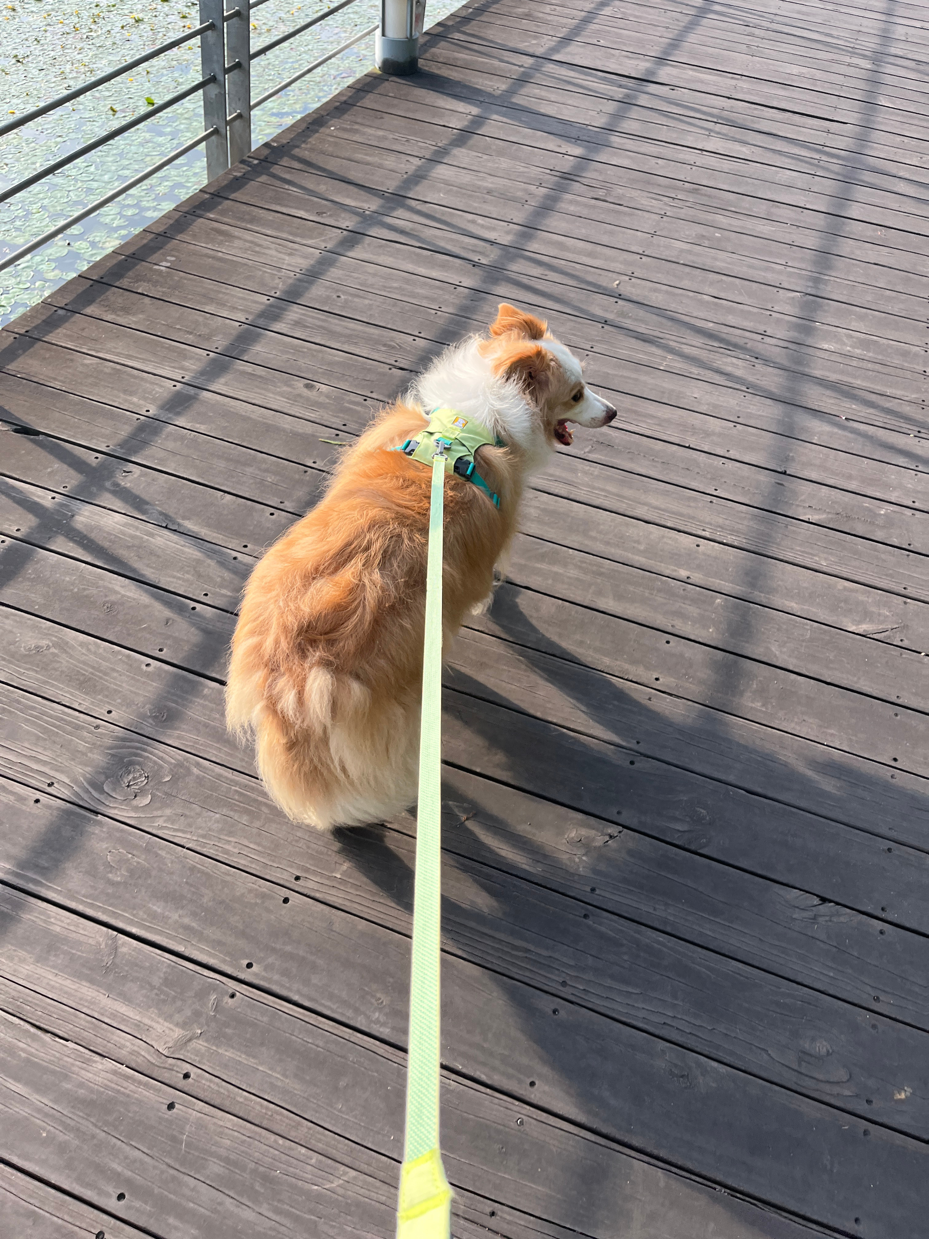 六点钟也很热！ 