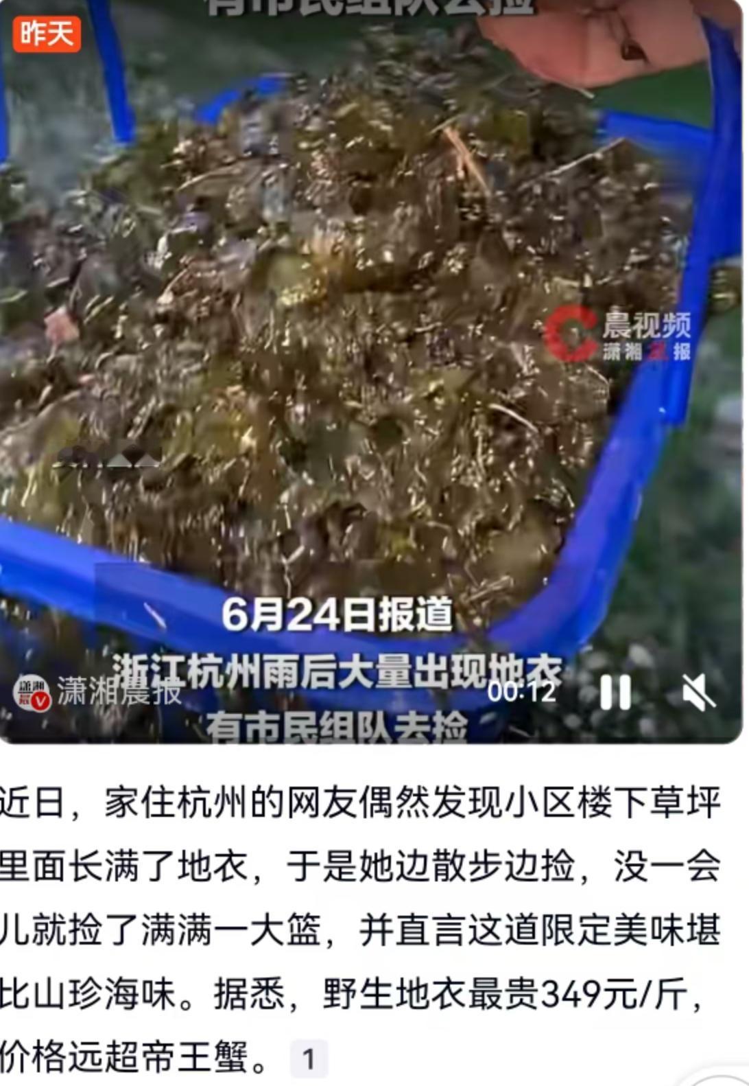 杭州的一场雨后，城市绿意盎然，不少居民习惯在小区楼下散步消食。近日，一位家住杭州