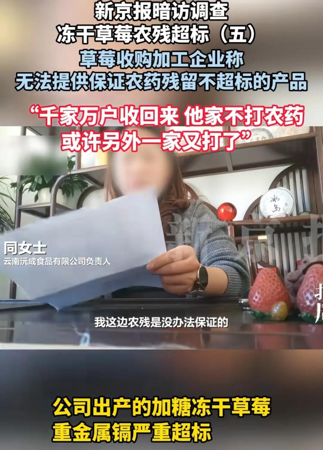 草莓农药超标严重！能不吃就不吃了吧！据调查，做草莓速冻生意的厂家没有一个敢保证农