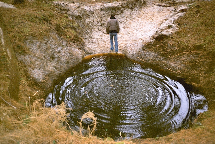 这个世界的问题在于聪明人充满疑惑，而傻子们坚信不疑。丨罗素 ​​​