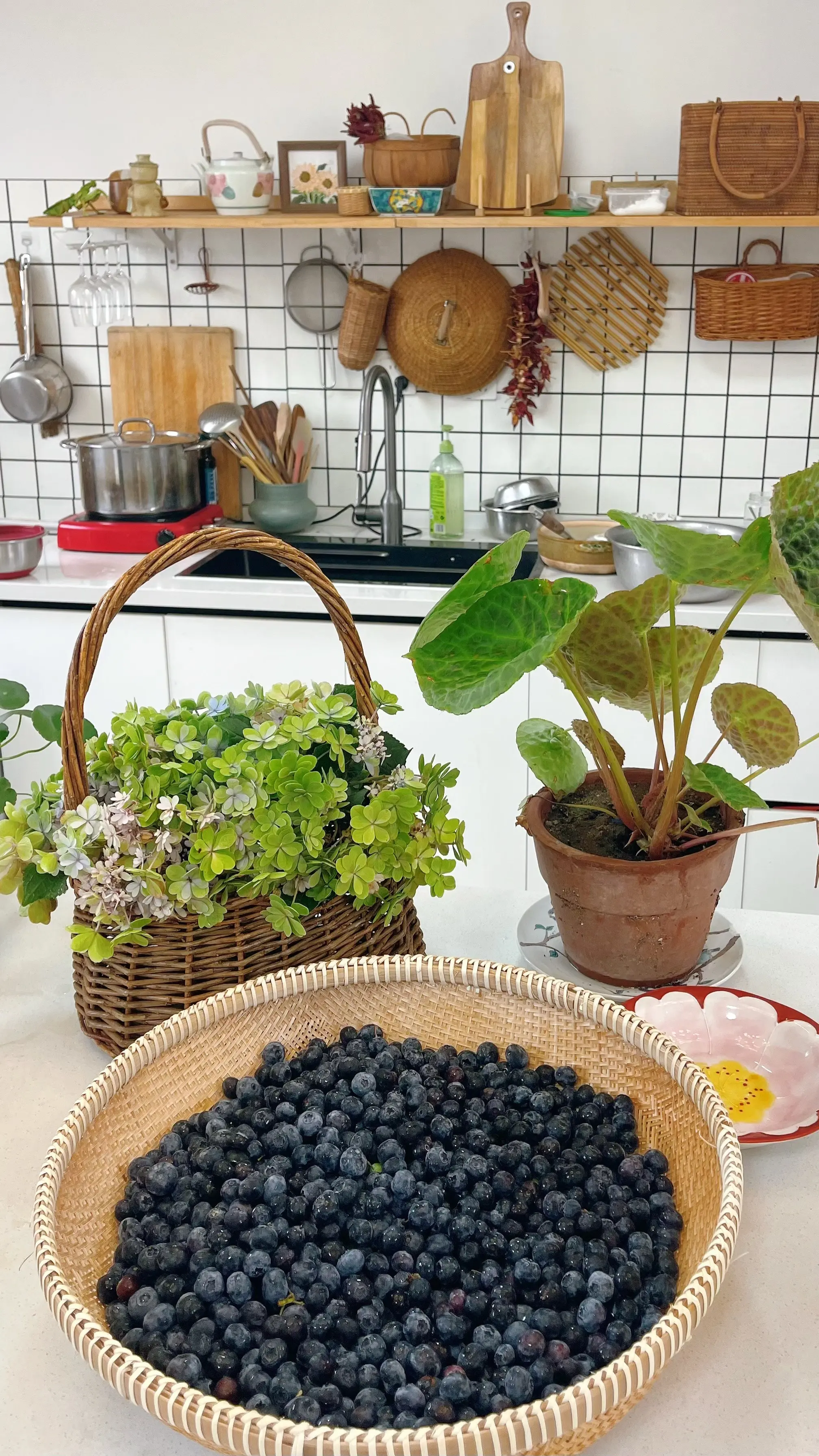 下雨天…熬蓝莓酱、腌酸豆角……
