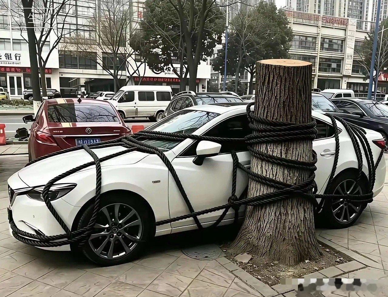 好家伙，抗台风等级提高了好几个档次