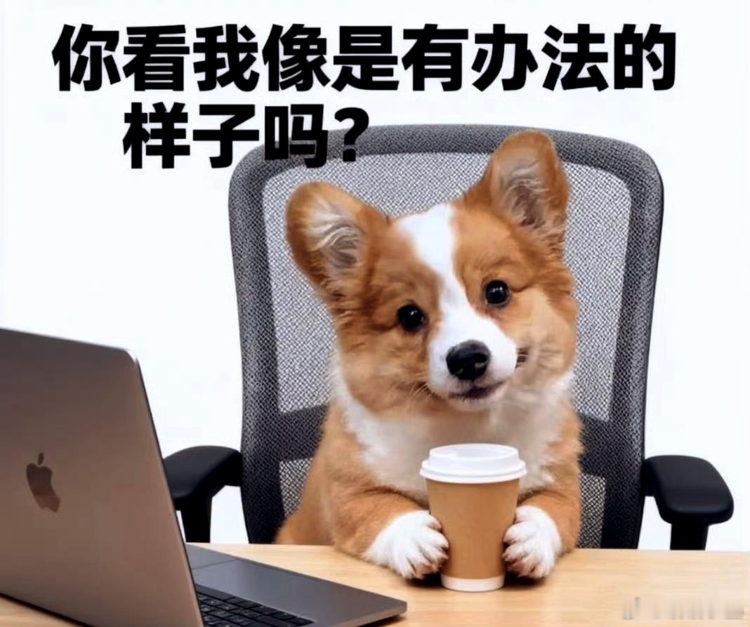 不要和上班的人诉苦上班之后，我的共情能力呈断崖式下跌。不是冷漠，而是上班已经耗尽