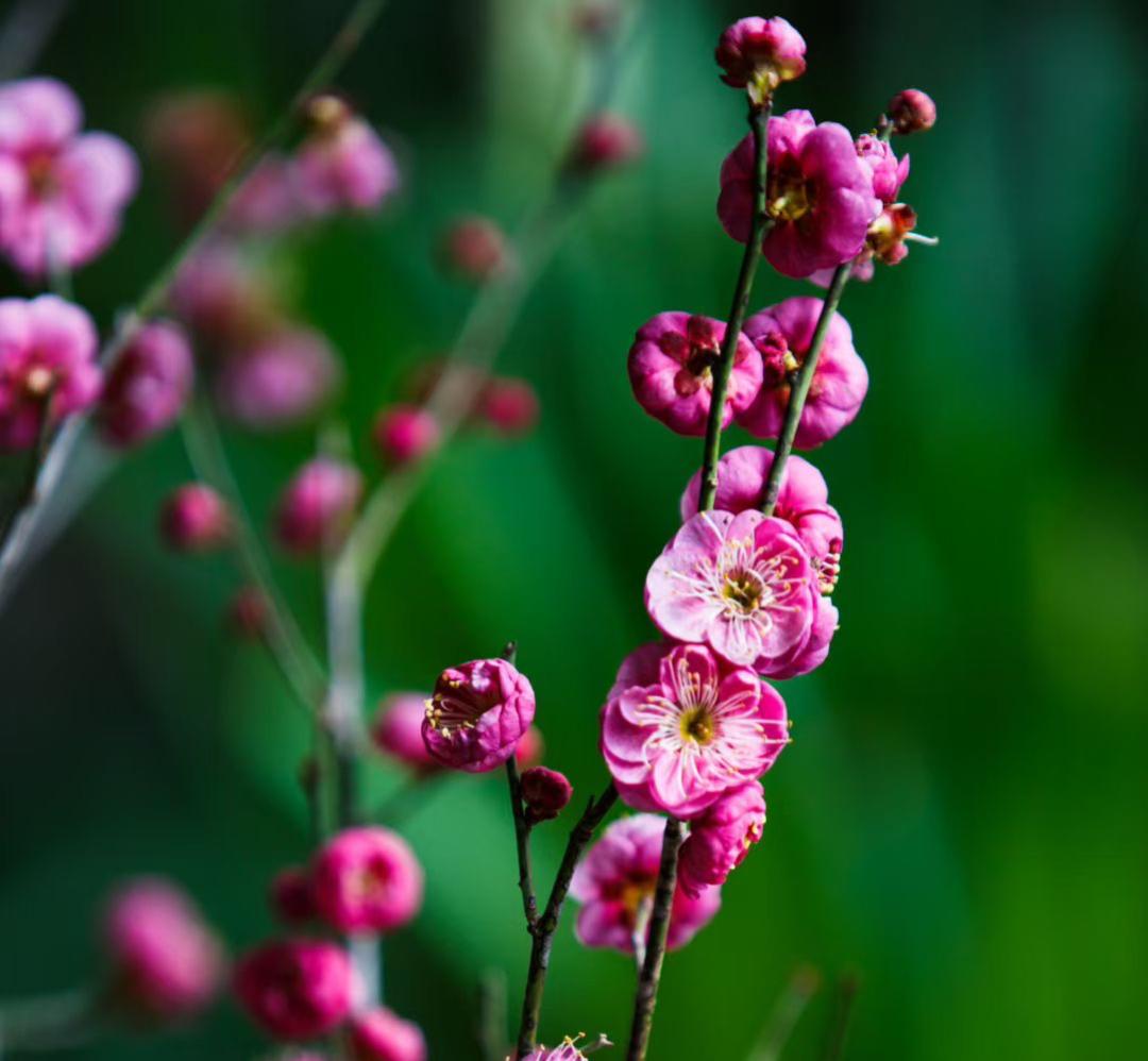 人老了才懂：真正靠得住的，只有这一样

楼下有一位大病初愈的老人对我说：“老到走