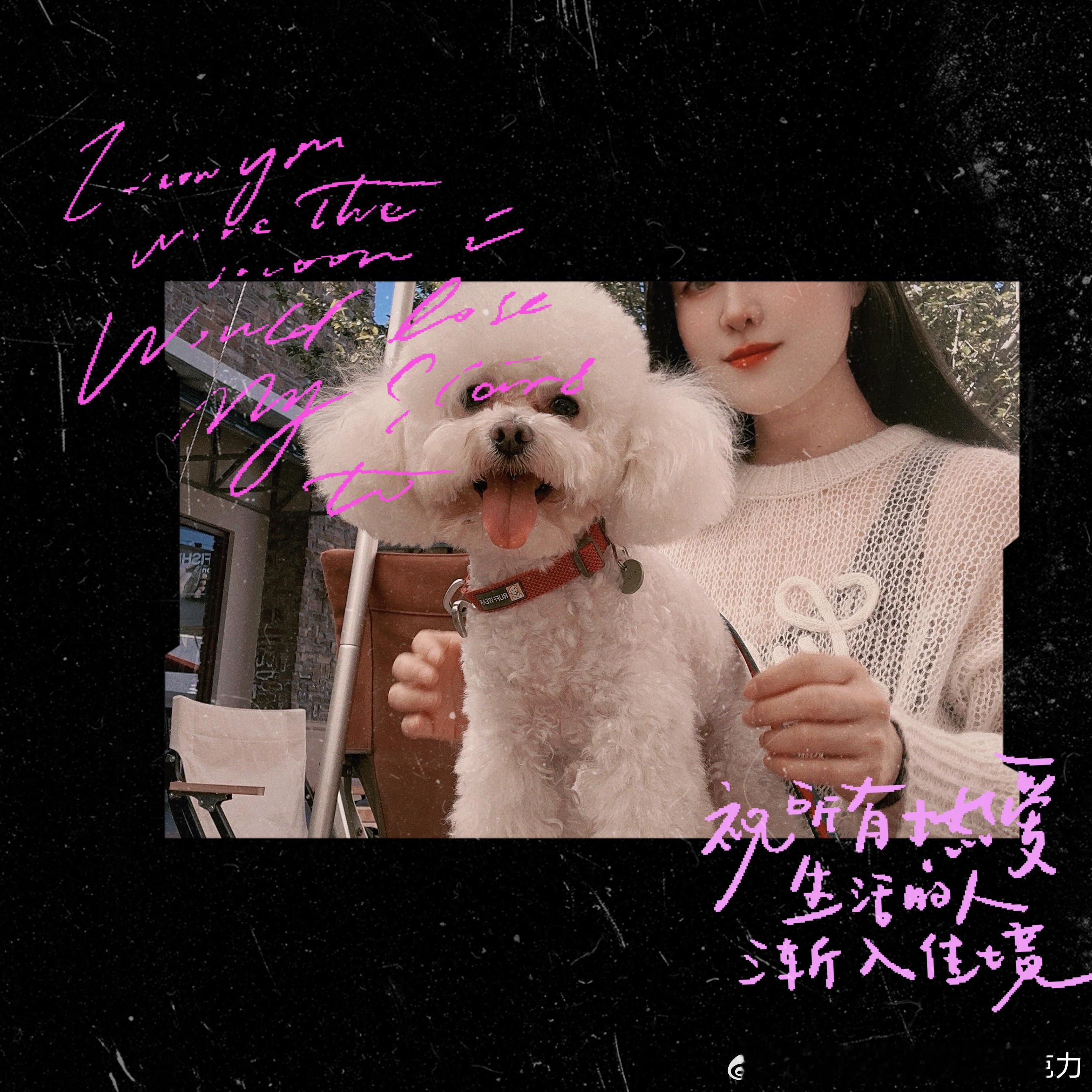 我最最最可爱的小狗狗🐶遛狗打卡狗狗  ​​​
