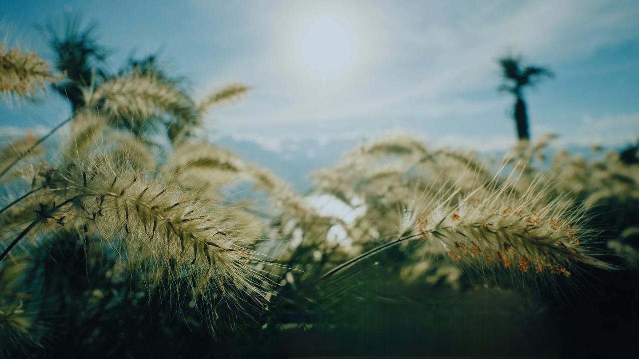 给自己一句话，你会说什么? “辛苦啦，加油！”这句对自己说的话，恰似疲惫旅途中的