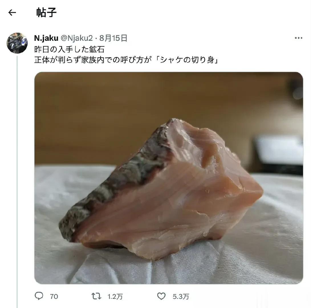 日本乡民最近得到的一块矿石，不知道是什么石头，家人都叫它「鲑鱼片」🐟