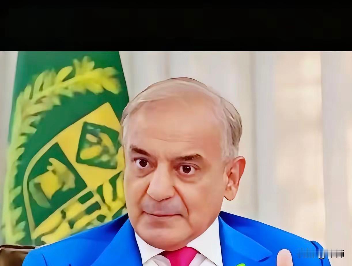 就在刚刚
巴基斯坦总理宣布
11月23日，巴基斯坦总理谢里夫对外说了一个新计划，