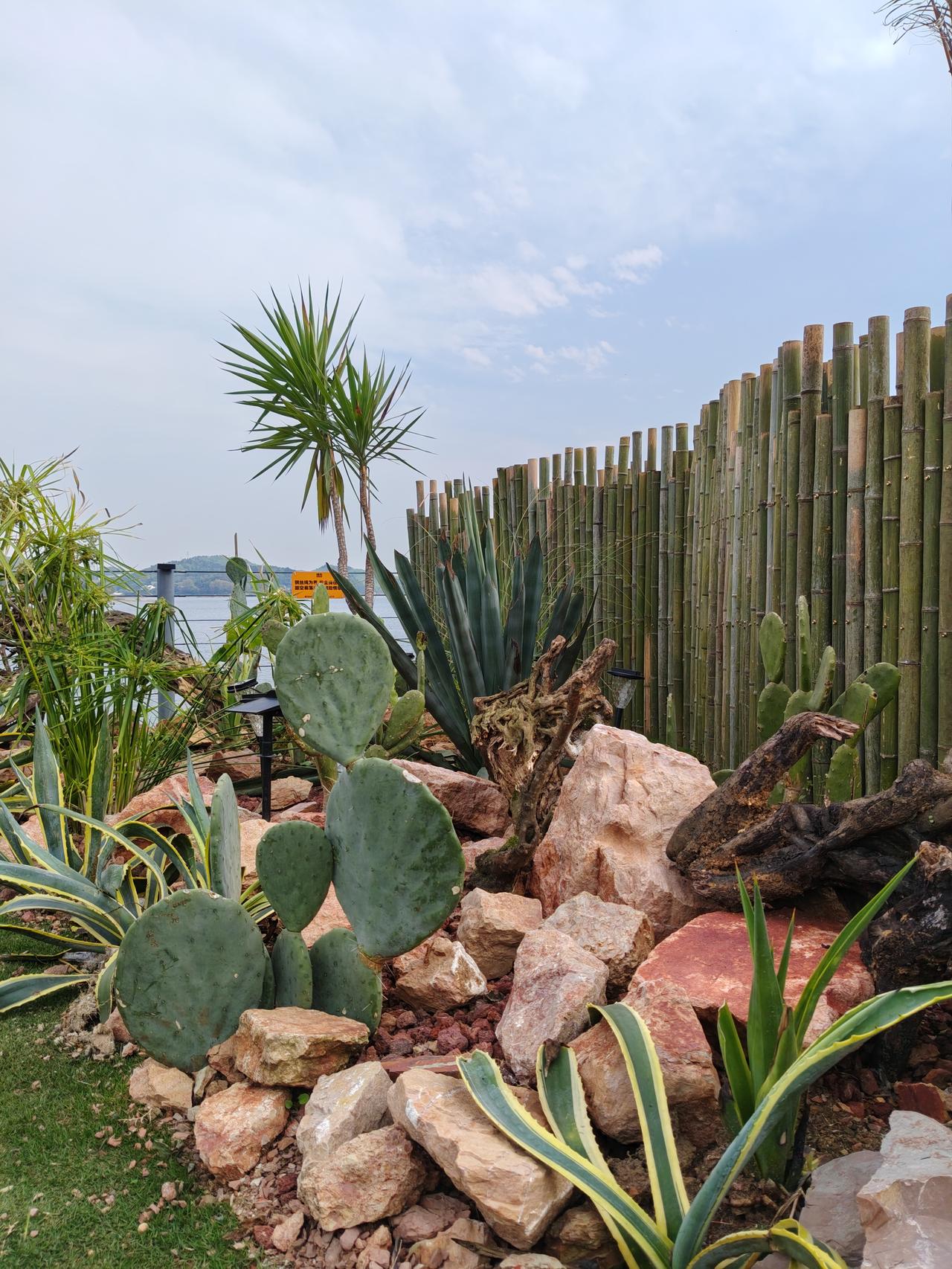 4月19日，越来越近了。这个年报集中披露的时间点，是一检查一家上市公司过去一年是