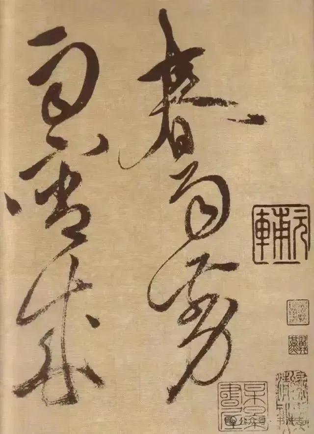 徐渭，明代著名书画家，徐渭的书法学米芾，奔放苍劲中见姿媚，雄健壮美，徐渭最擅长大