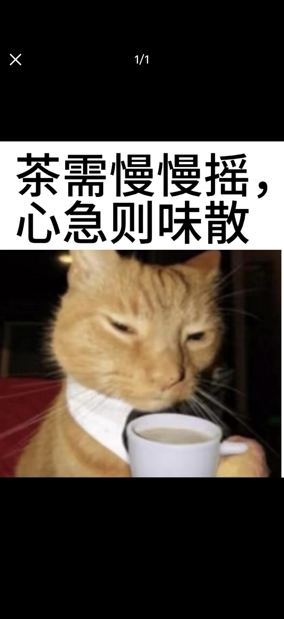 周也新剧茶里茶气别被谢清圆温柔模样骗到！🍃看似温润无害，实则步步谋局。懂得藏拙