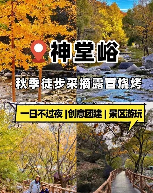 北京神堂峪🍂秋日宝藏玩法
徒步、露营、烧烤一站式搞定
谁懂啊！北京秋天的神堂峪