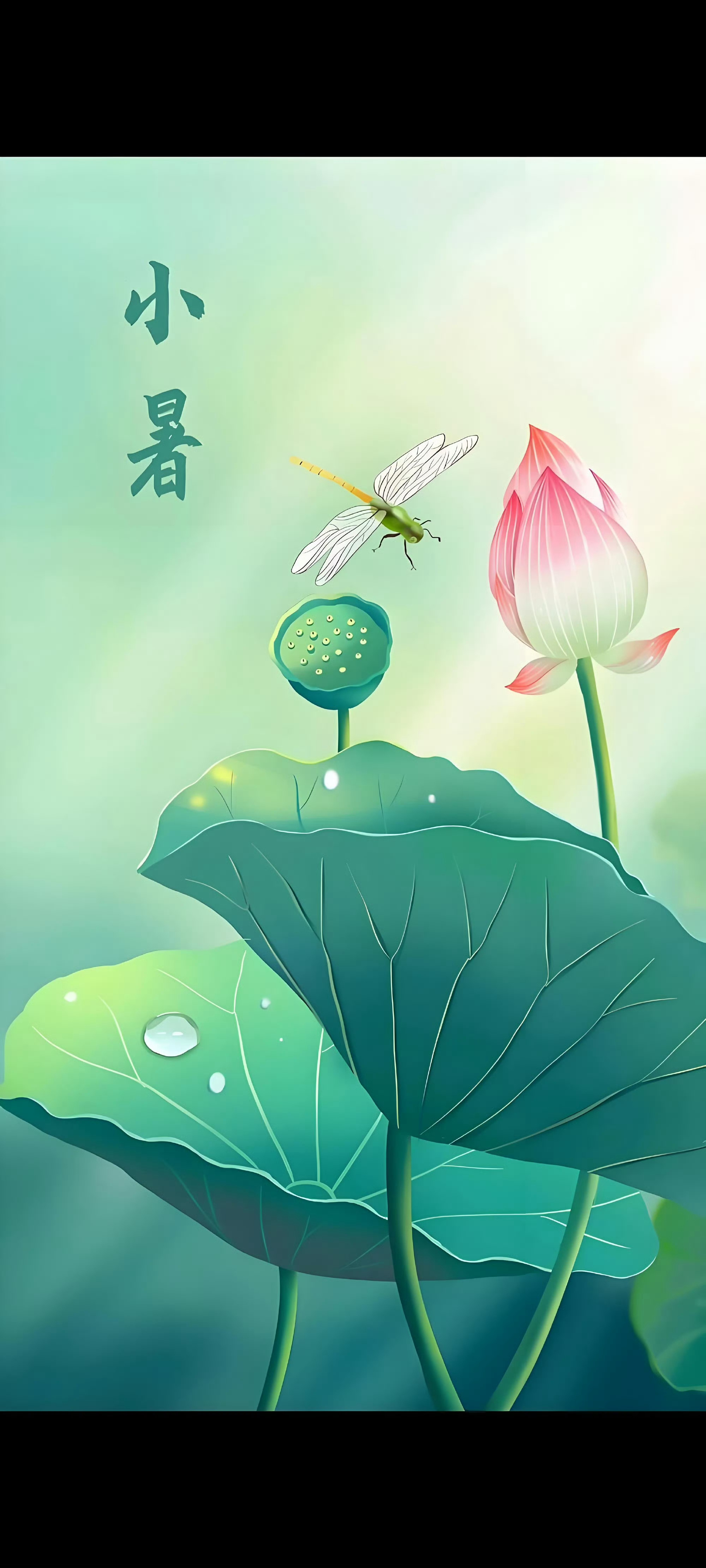 生活手记小暑悄悄踏来，盛夏的幕布徐徐拉开。炽阳下蝉鸣欢唱，荷花在碧波间摇曳生姿，