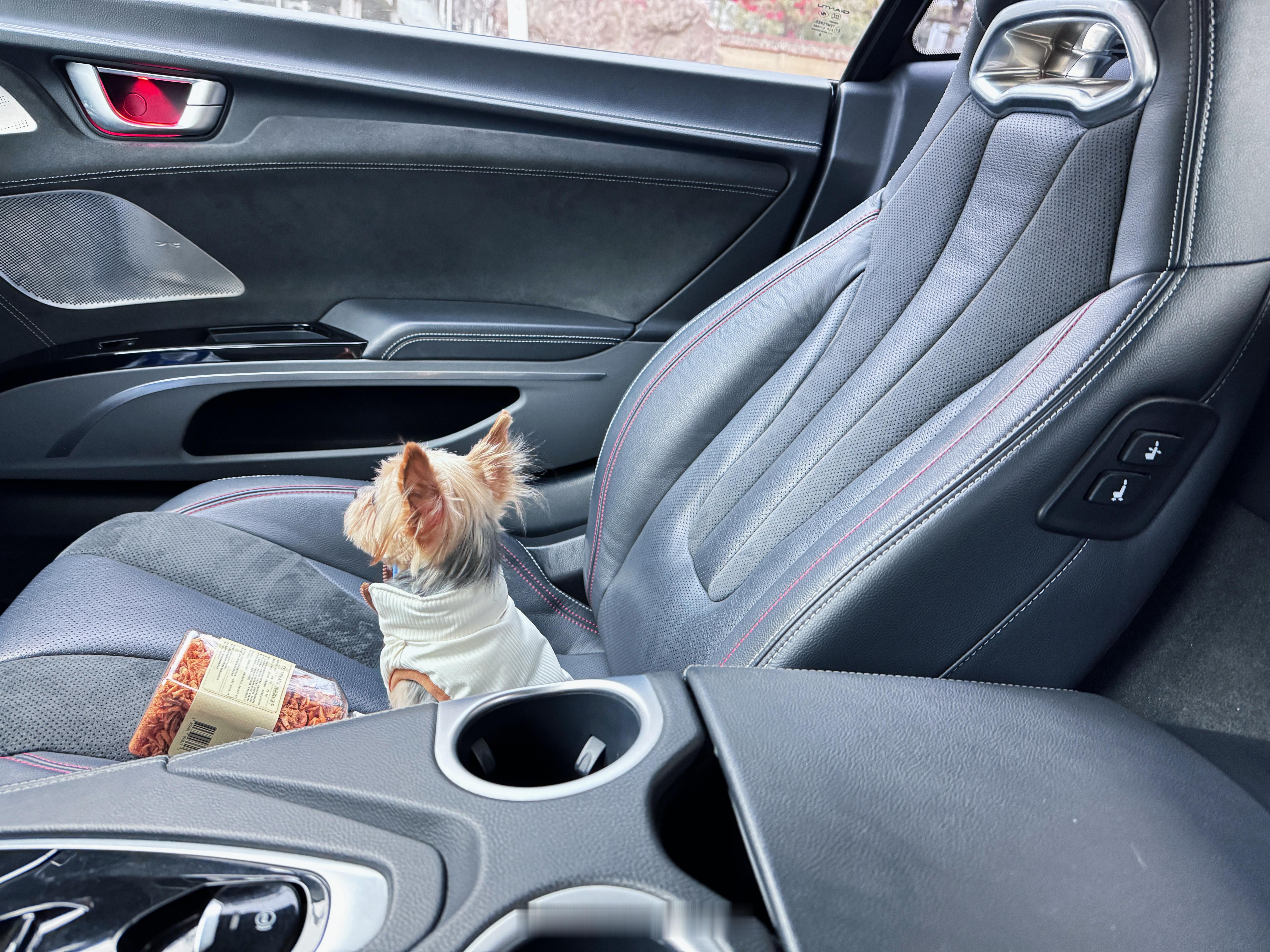 好喜欢我的好喜欢我的狗 ​​​