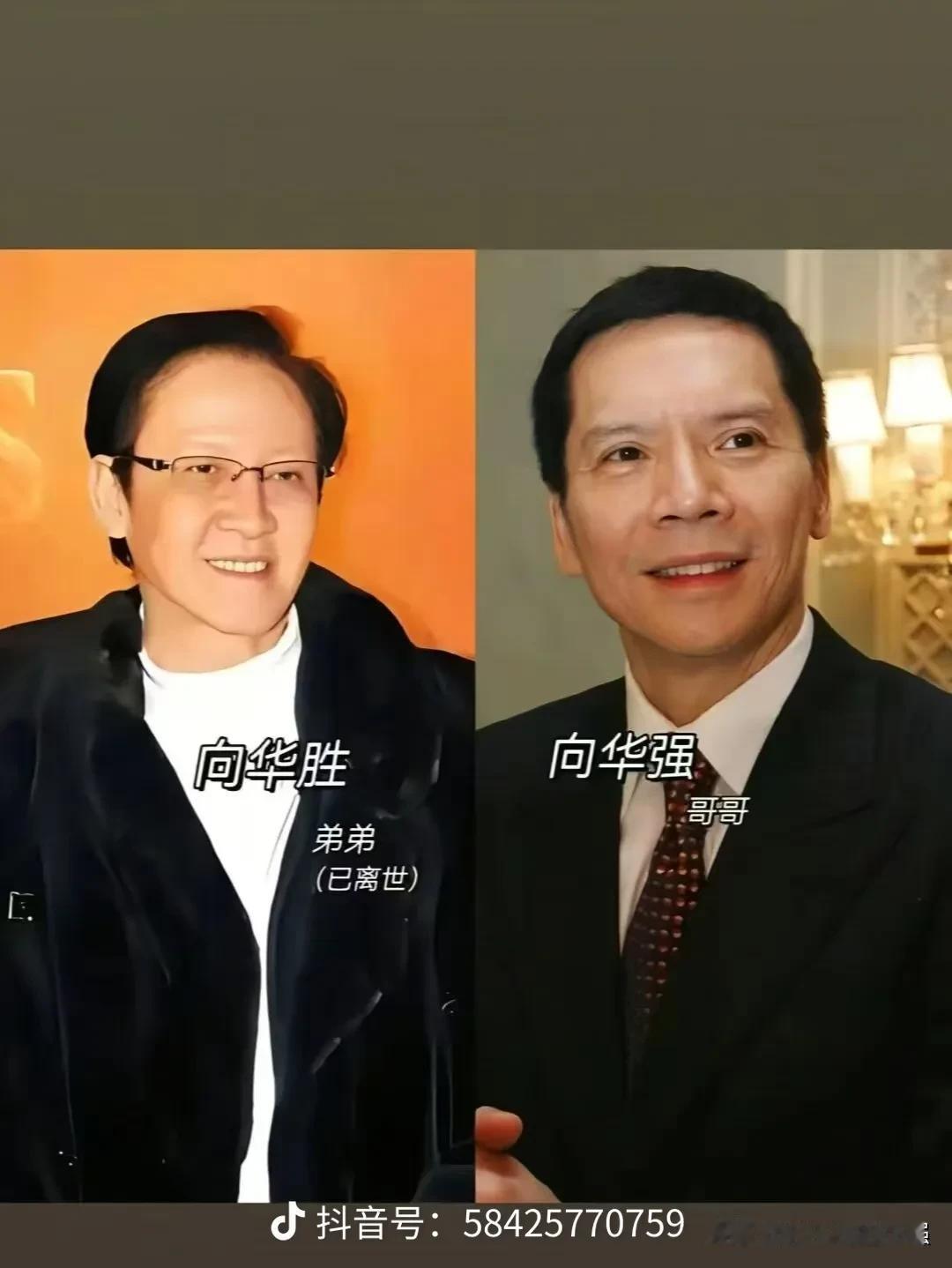 港圈藏着许多鲜为人知的手足亲情。
不少荧幕上的演员，互为亲兄弟、亲姐妹、表兄妹。