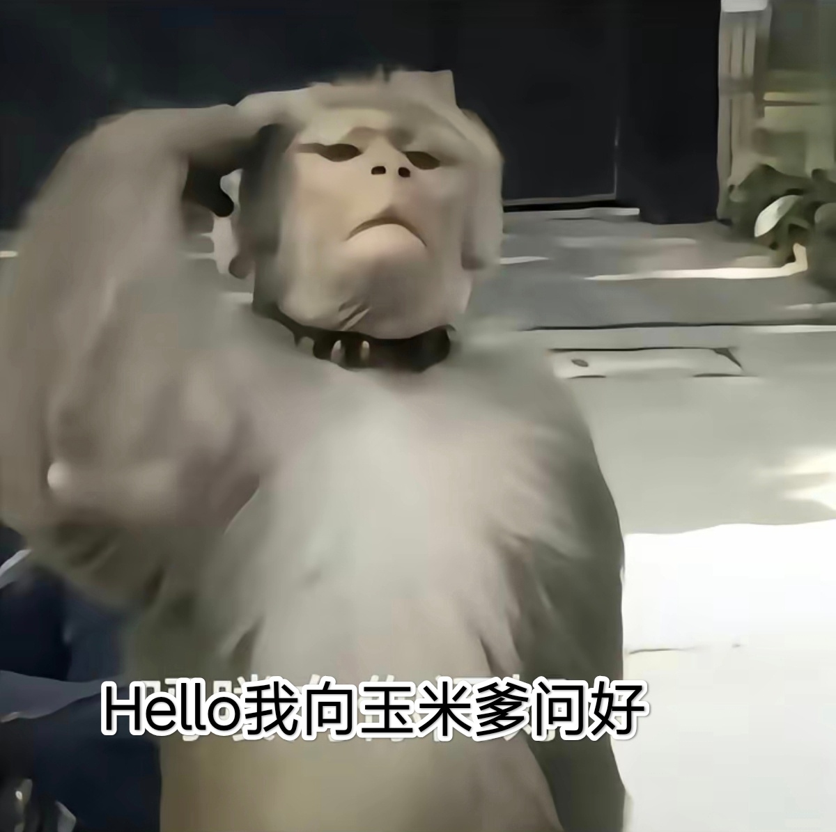 栩你渝生 云熠星河小杂z，真给你脸了，给你单开一页，来这骂云熠星河