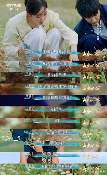 新疆小羊有专属理发师剪羊毛有多解压有机会真想去新疆体验一把，给小羊理个发，感觉会