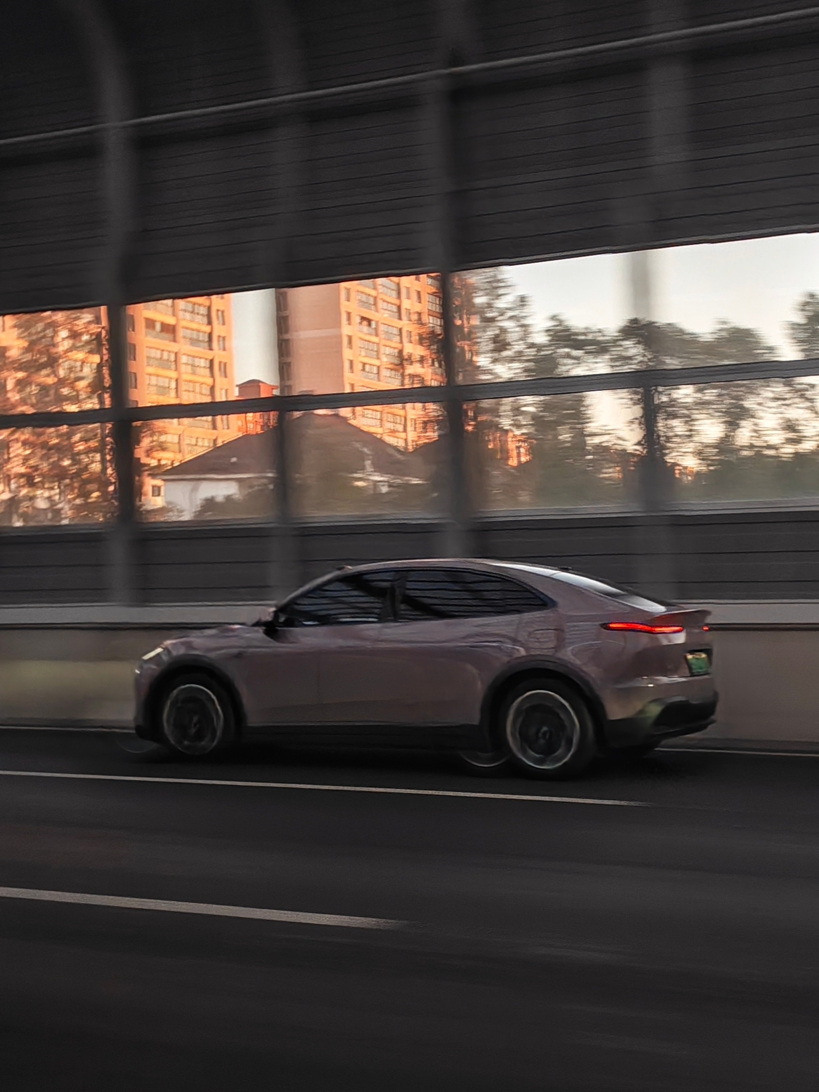 不是，上海这降温也太猛了点吧，太阳刚冒尖儿这会儿可太冷了。一抬头便是我最喜欢的紫