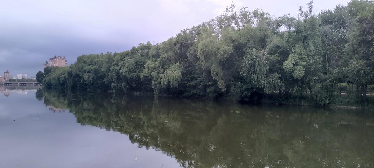 新大陆！绝对是新大陆！我的城市竟然有如此美景！真可谓：清风拂绿柳，白水映如茵，人