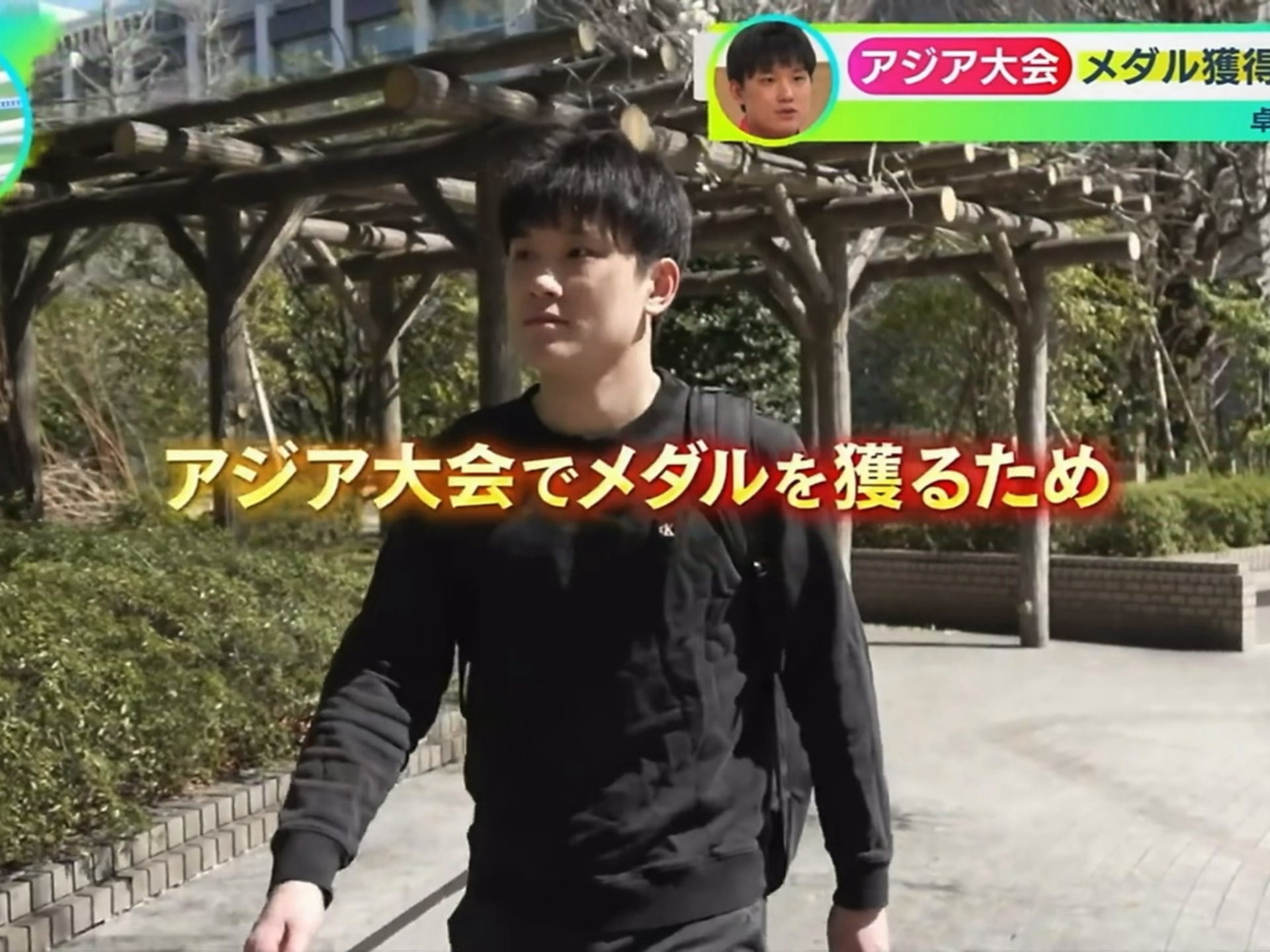 漫步🚶 