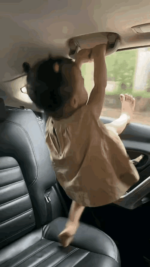 好玩吗？
看看：她玩得多开心，是不是像个猴子一样，有天赋，是个天才，她玩美了，家