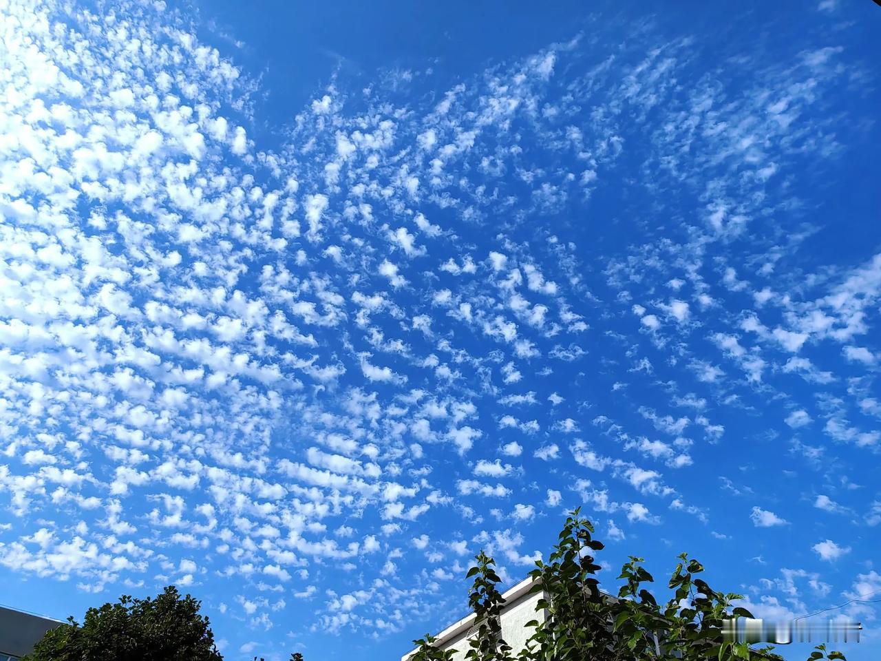 上午，北京天空出现了美丽的棉花云。不过，过了没多久，天空转阴。
