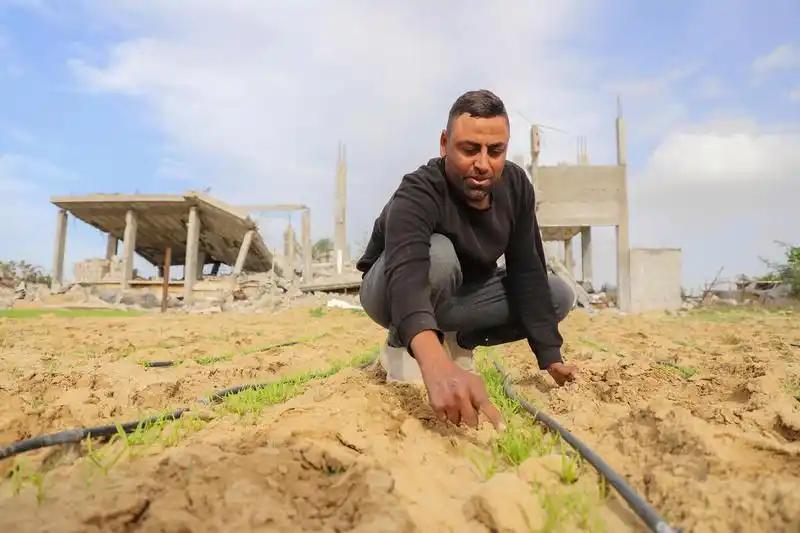 谁能想象，都2026年了，全球居然还有上亿人连最基本的饱饭都吃不上，这份刚出炉的