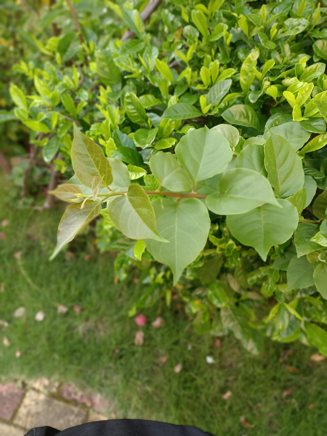 生活创作挑战赛 人生没有最好的年纪，
只有最好的心态。

学会与自己和解，
看淡